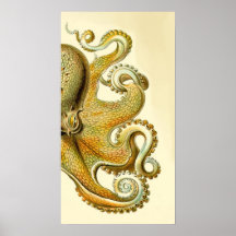 Diptyque I de poulpe de Haeckel Posters