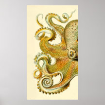 Diptyque II de poulpe de Haeckel Affiche