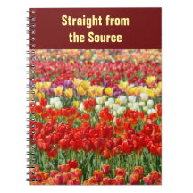 Directement des tulipes de coutume de carnets de s