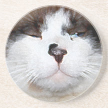 Dites ce qui ? Caboteur de chat Dessous De Verre