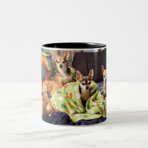 Dites le Chi Mugs