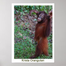 Dites non aux despotes - orang-outan de Krista Posters