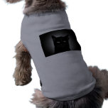 dog love cat vêtements pour animaux domestiques