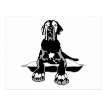 Dogge Ilios Cartes Postales