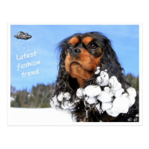 Doggy - les hivers latest fashion tendance carte postale