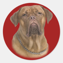 Dogue De Bordeaux Portait Adhésif Rond