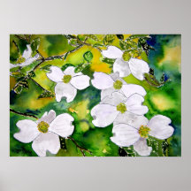 dogwood_tree_flowers posters