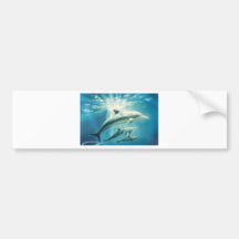 Dolphin Trio Bumper Stickers