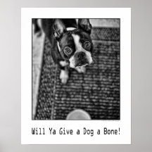 Donnez à un chien un os ! affiche