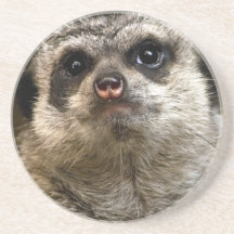 Don't Hate Me Because i'm Cute! Beverage Coaster