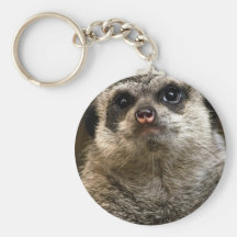 Don't Hate Me Because i'm Cute! Key Chains