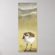 Dotteral Poster