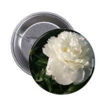 Double bouton blanc de pivoines pin's avec agrafe
