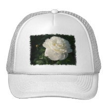 Double chapeau blanc de pivoines casquettes