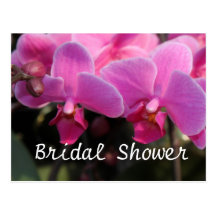 Douche nuptiale, fleurs roses d'orchidée carte postale