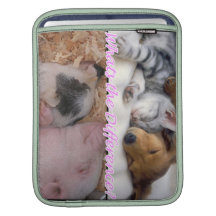 Douille végétalienne d'Ipad. Chaton de porc de chi Poches Pour iPad