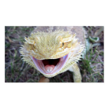Dragon barbu heureux superbe cartes de visite professionnelles