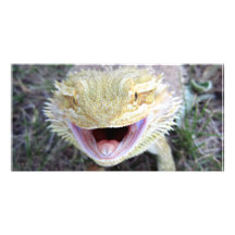 Dragon barbu heureux superbe cartes avec photo