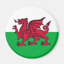 Dragon de Gallois Aimant Pour Réfrigérateur