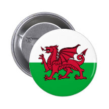 Dragon de Gallois Badge