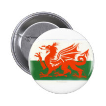 Dragon de Gallois Pin's Avec Agrafe