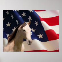 Drapeau américain d'affiche de cheval