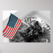 Drapeau américain dans une affiche de photo de pet