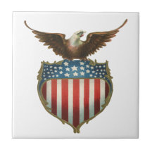 Drapeau américain patriotique vintage et Eagle cha Carreau