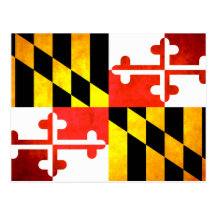 Drapeau coloré de Marylander de contraste Carte Postale