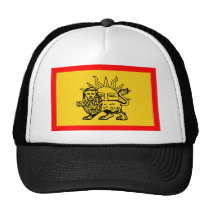 Drapeau de dynastie d'Afsharid (1736-1747) casquettes