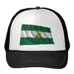Drapeau de ondulation d'Andalucía Casquettes De Camionneur