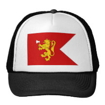 Drapeau de Prince héritier de la Norvège Casquette De Camionneur