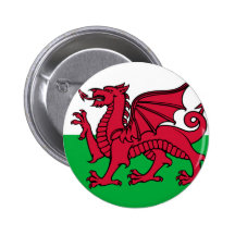 Drapeau du Pays de Galles Pin's