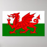 Drapeau du Pays de Galles Posters