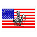 DRAPEAU INDIEN CARTES POSTALES