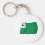 Drapeau Keychain d'espéranto Porte-clé