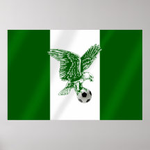 Drapeau superbe nigérien d'Eagles du Nigéria Posters