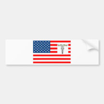 DRAPEAU USA CRANE DE BISON 1.PNG ADHÉSIFS POUR VOITURE
