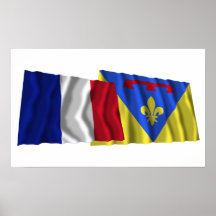 Drapeaux de ondulation de la France et de variété Posters