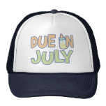 Dû en juillet casquette