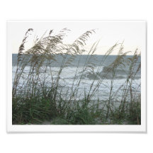 Dunegrass Art Photographique