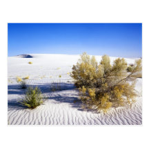 Dunes de sable dans le désert de Mojave, la Califo Cartes Postales