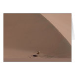 Dunes de sable, Vicuñas, carte postale de désert d
