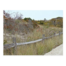 Dunes et parc d'état de plage d'île de barrière cartes postales