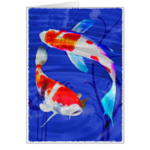 Duo de Kohaku dans l'étang bleu profond Carte