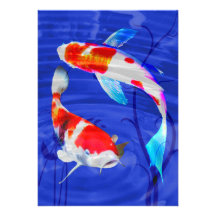 Duo de Kohaku dans l'étang bleu profond Faire-parts