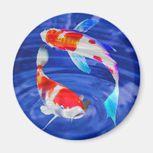 Duo de Kohaku dans l'étang bleu profond Magnets Pour Réfrigérateur