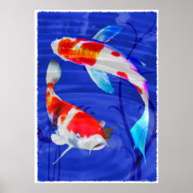 Duo de Kohaku dans l'étang bleu profond Posters