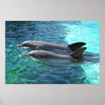 Duo nautique poster