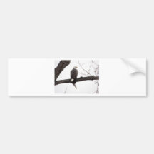 Eagle chauve adhésifs pour voiture